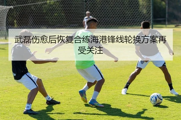 武磊伤愈后恢复合练海港锋线轮换方案再受关注