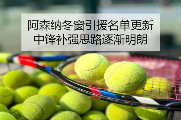 阿森纳冬窗引援名单更新 中锋补强思路逐渐明朗